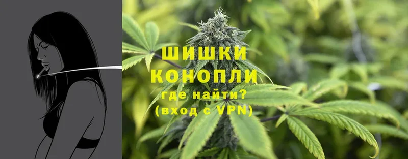 Шишки марихуана план  продажа наркотиков  kraken ССЫЛКА  Бахчисарай 